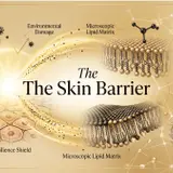 מחסום העור (Skin Barrier): השומר השקט של הנעורים שלך ואיך לתקן אותו כשהוא נפגע